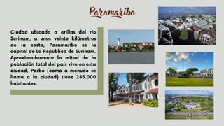 Paramaribo
Ciudad ubicada a orillas del río
Surinam, a unos veinte kilómetros
de la costa, Paramaribo es la
capital de La República de Surinam.
Aproximadamente la mitad de la
población total del país vive en esta
ciudad, Parbo (como a menudo se
llama a la ciudad) tiene 245.000
habitantes.
 