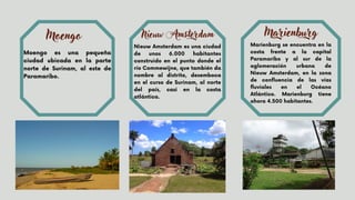Moengo es una pequeña
ciudad ubicada en la parte
norte de Surinam, al este de
Paramaribo.
Moengo
Nieuw Amsterdam es una ciudad
de unos 6.000 habitantes
construido en el punto donde el
río Commewijne, que también da
nombre al distrito, desemboca
en el curso de Surinam, al norte
del país, casi en la costa
atlántica.
Nieuw Amsterdam
Marienburg se encuentra en la
costa frente a la capital
Paramaribo y al sur de la
aglomeración urbana de
Nieuw Amsterdam, en la zona
de confluencia de las vías
fluviales en el Océano
Atlántico. Marienburg tiene
ahora 4.500 habitantes.
Marienburg
 