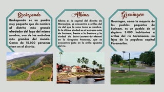 Brokopondo es un pueblo
muy pequeño que da nombre
al distrito más grande
alrededor del lago del mismo
nombre, uno de los embalses
más grandes del mundo.
Cerca de 15.000 personas
viven en el distrito.
Brokopondo
Albina es la capital del distrito de
Marowijne, se encuentra a orillas del
río del que la zona toma su nombre.
Es la última ciudad en el extremo este
de Surinam, frente a la frontera y la
ciudad de Saint-Laurent-du-Maroni
en la Guayana Francesa, que se
encuentra justo en la orilla opuesta
del río.
Albina
Groningen, como la mayoría de
los pueblos pequeños de
Surinam, es un pueblo de ni
siquiera 3.000 habitantes a
orillas del río Saramacca, no
lejos de la populosa capital
Paramaribo.
Groningen
 