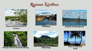 Regiones Turísticas
Reserva natural central de
Surinam


Tafelberg


Parque natural de Brownsberg


Embalse de Brokopondo


Reserva natural de
Galibi
Julianatop


 