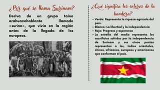 ¿Por qué se llama Surinam?
Deriva de un grupo taíno
arahuacohablante llamado
«surine», que vivía en la región
antes de la llegada de los
europeos.
¿Qué significa los colores de la
bandera?
Verde: Representa la riqueza agrícola del
país.
Blanco: La libertad y la independencia
Rojo: Progreso y esperanza
La estrella del medio representa los
sacrificios sufridos por la independencia
de Surinam y sus cinco puntas
representan a los, Indios orientales,
chinos, africanos, europeos y americanos
que conforman el país.
 