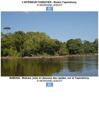 L’INTÉRIEUR FORESTIER - Rivière Tapanahony.
© MORGANE LESCOT
MABUKA - Mabuka, juste en dessous des rapides, sur la Tapanahony.
© MORGANE LESCOT
 