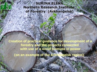 Creation of practical guidance for development of a forestry and the projects connected  with use of a wood biomass in power (on an example of the Arkhangelsk region) .   SURINA ELENA Northern Research Institute  of Forestry  ( Arkhangelsk ) 