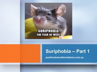 Suriphobia – Part 1
positivetranceformations.com.au
 