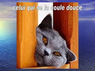 celui qui se la coule douce 