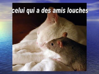 celui qui a des amis louches 