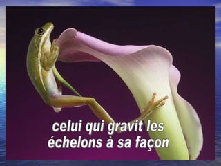 celui qui gravit les échelons à sa façon 