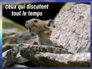 ceux qui discutent  tout le temps 
