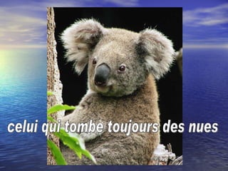 celui qui tombe toujours des nues 