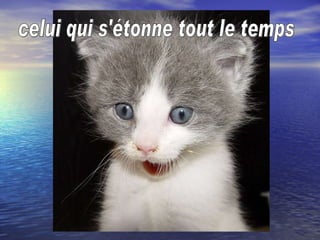celui qui s'étonne tout le temps 
