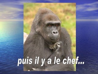puis il y a le chef... 