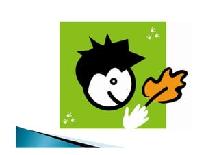 Sur Les Pistes De Robin