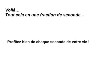 Voilà…  Tout cela en une fraction de seconde... Profitez bien de chaque seconde de votre vie ! 