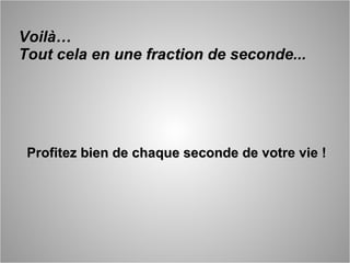 Voilà… Tout cela en une fraction de seconde... Profitez bien de chaque seconde de votre vie !