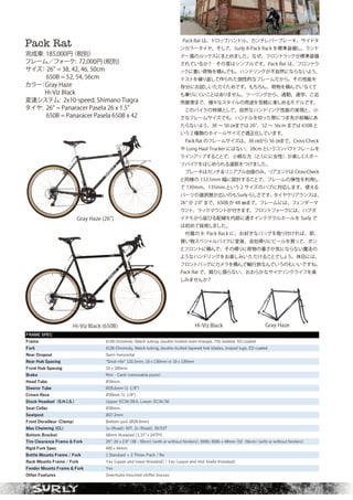 SURLY 2020 catalog for web