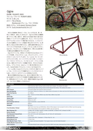 SURLY 2020 catalog for web