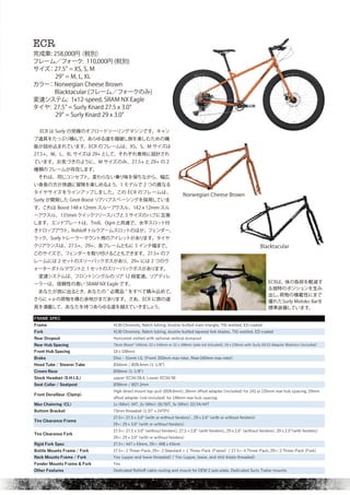 SURLY 2020 catalog for web