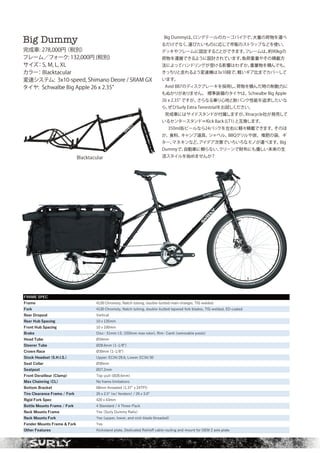 SURLY 2020 catalog for web