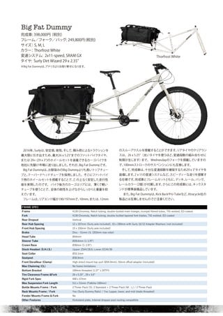 SURLY 2020 catalog for web