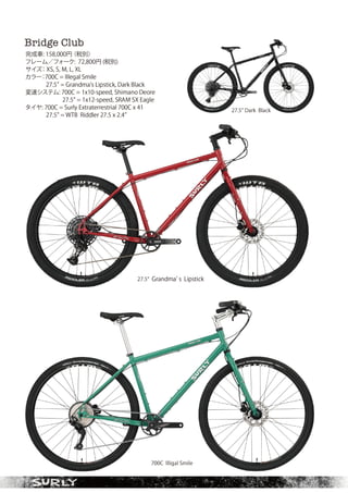 SURLY 2020 catalog for web