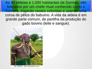 As 40 aldeias e 1.000 habitantes da Surmas, são
liderados por um chefe ritual conhecido como o
Komoru, trajando vestes coloridas e usando uma
coroa de pêlos do babuíno. A vida da aldeia é em
grande parte comum, de partilha da produção do
gado bovino (leite e sangue).
 