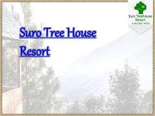 Suro Tree House
Resort
 