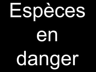 Espèces
en
danger
 