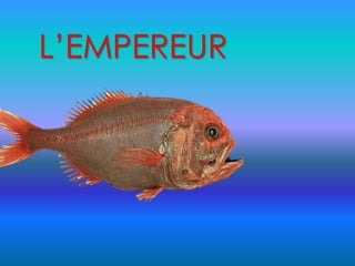 L’EMPEREUR
 