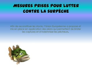 Mesures prises pour lutter
contre la surpêche
Afin de reconstituer les stocks, l’Union Européenne a proposé et
mis en place en application des plans qui permettent de limiter
les captures et d’indemniser les pêcheurs.
 