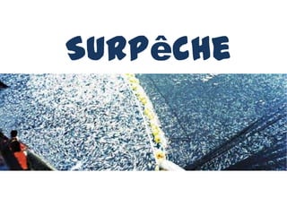 Surpêche
 