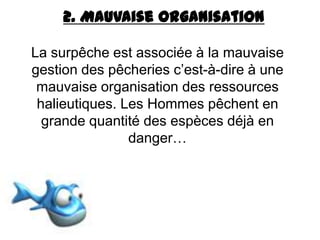 2. Mauvaise organisation
La surpêche est associée à la mauvaise
gestion des pêcheries c’est-à-dire à une
mauvaise organisation des ressources
halieutiques. Les Hommes pêchent en
grande quantité des espèces déjà en
danger…
 