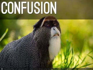 Photo by Steve Wilson - over 7 million views Thanks !! - Creative Commons Attribution License https://www.flickr.com/photos/26811962@N05 Created with Haiku Deck
 