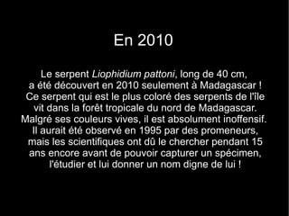 En 2010
     Le serpent Liophidium pattoni, long de 40 cm,
 a été découvert en 2010 seulement à Madagascar !
 Ce serpent qui est le plus coloré des serpents de l'île
   vit dans la forêt tropicale du nord de Madagascar.
Malgré ses couleurs vives, il est absolument inoffensif.
  Il aurait été observé en 1995 par des promeneurs,
 mais les scientifiques ont dû le chercher pendant 15
 ans encore avant de pouvoir capturer un spécimen,
       l'étudier et lui donner un nom digne de lui !
 