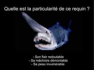 Quelle est la particularité de ce requin ?




                - Son flair redoutable
            - Sa mâchoire démontable
              - Sa peau invulnérable
 