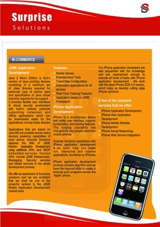 Surprise Solutions Profile