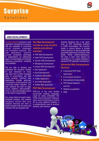 Surprise Solutions Profile