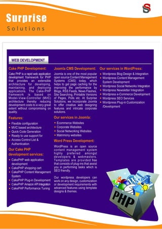 Surprise Solutions Profile