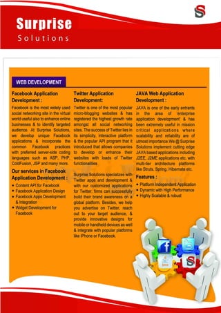 Surprise Solutions Profile