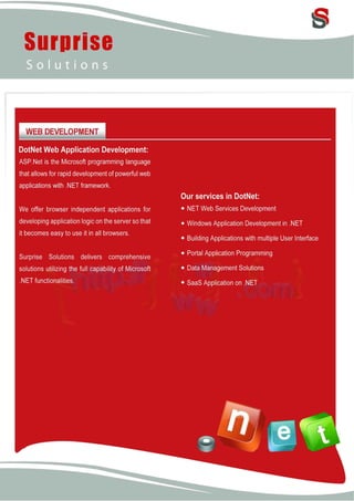 Surprise Solutions Profile