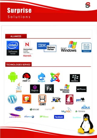 Surprise Solutions Profile