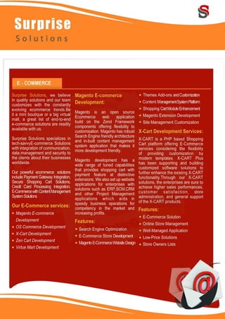 Surprise Solutions Profile