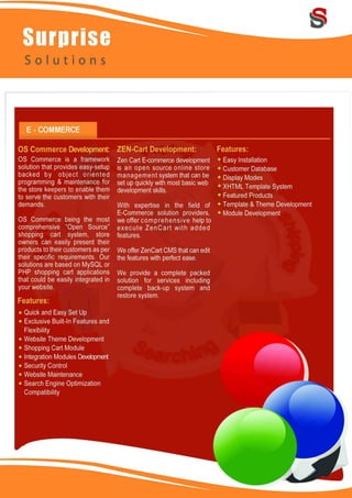 Surprise Solutions Profile