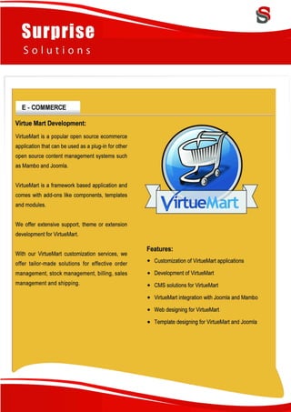 Surprise Solutions Profile