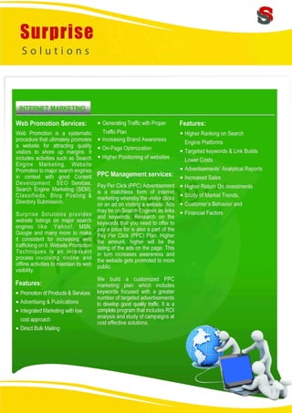 Surprise Solutions Profile