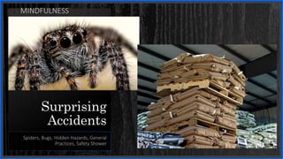 Surprising
Accidents
Spiders, Bugs, Hidden Hazards, General
Practices, Safety Shower
MINDFULNESS
 