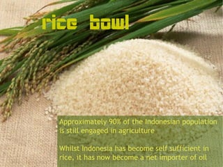 rice bowl



 Approximately 90% of the Indonesian population
 is still engaged in agriculture

 Whilst Indonesia has become self sufficient in
 rice, it has now become a net importer of oil
 