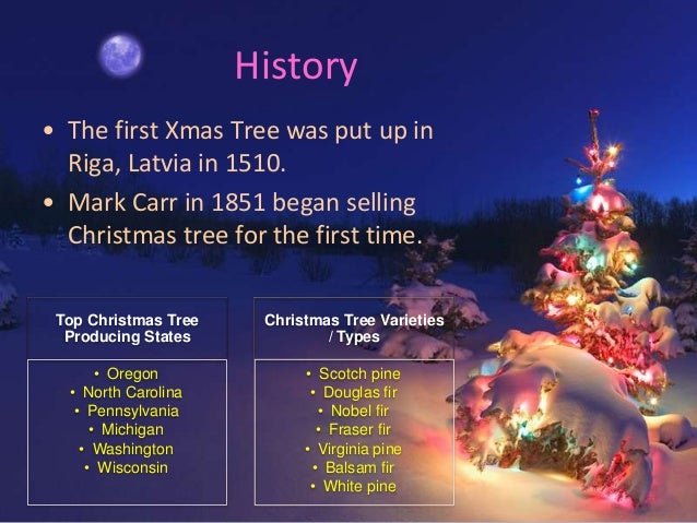 amazingly christmas tree facts to know amazingly christmas tree facts to know