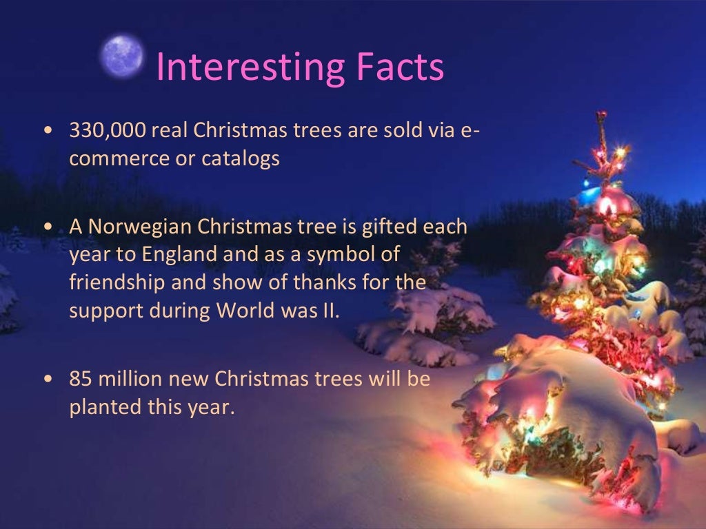 amazingly-christmas-tree-facts-to-know
