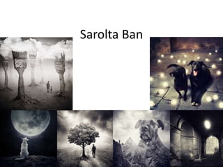 Sarolta Ban
 