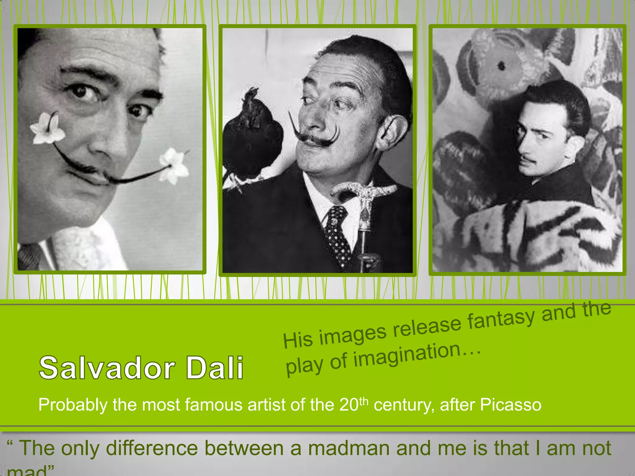 Probably the most famous artist of the 20th century, after Picasso

“ The only difference between a madman and me is that I am not
 
